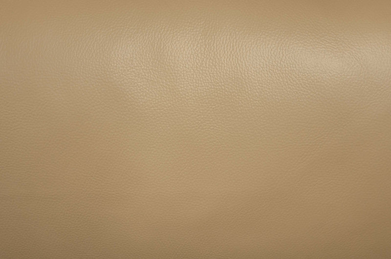 LGPF8420 Taupe Leather 2 Pieces Sofa Set